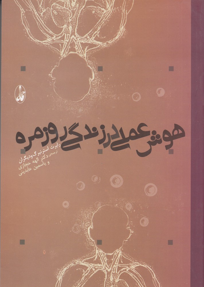 هوش عملی در زندگی روزمره